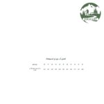 صندل جلوبسته زنانه اسنوهاک مدل Naica کد SN-S1276-4