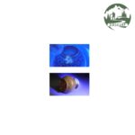 چراغ قوه یووی اسمایلینگ شارک کد SD-7157-1