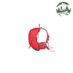 کوله پشتی پیکینیو (کله گاوی) مدل آلپس ALPS 28L-4