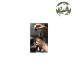 آسیاب قهوه دستی آلوکس کد KW-K17-1