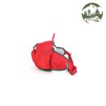 کیف کمری کوله شو اسنوهاک مدل SN-B3132-2